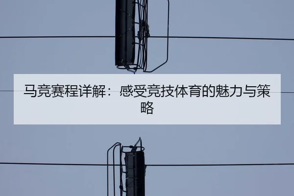 马竞赛程详解：感受竞技体育的魅力与策略